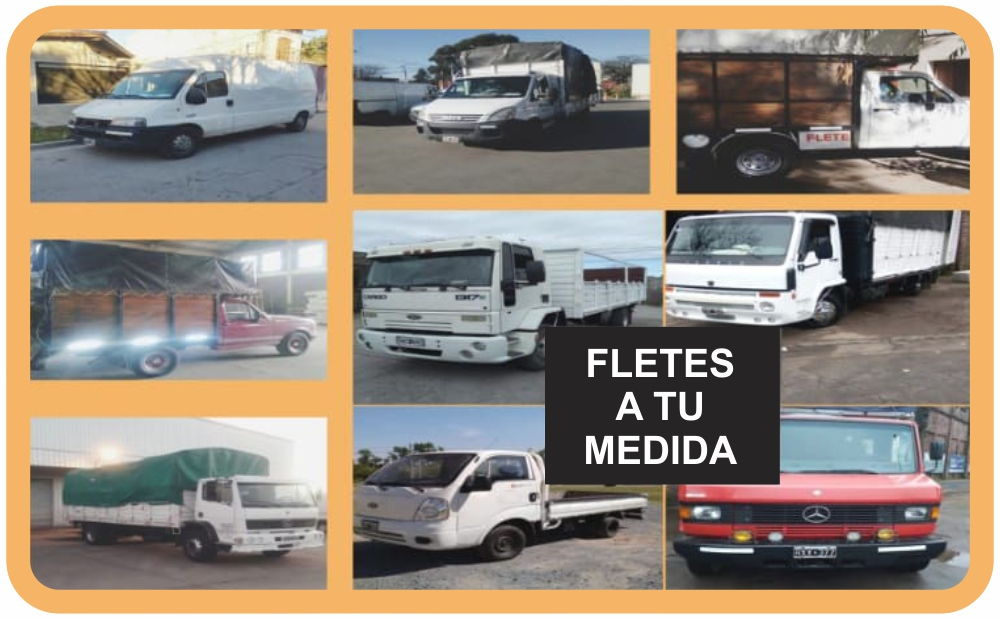 Fletes Taxi Carga Mudanzas Economicas